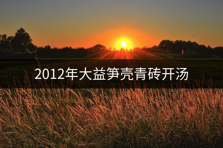 2012年大益筍殼青磚開(kāi)湯 2012年大益筍殼青磚開(kāi)湯