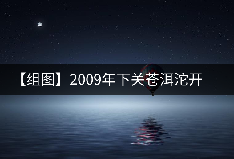 【組圖】2009年下關蒼洱沱開湯