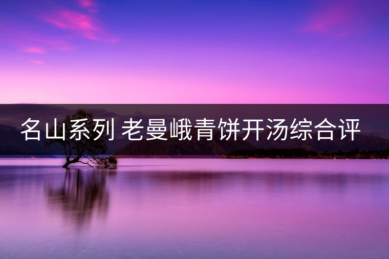 名山系列 老曼峨青餅開(kāi)湯綜合評(píng)測(cè) 名山系列 老曼峨青餅開(kāi)湯綜合評(píng)測(cè)
