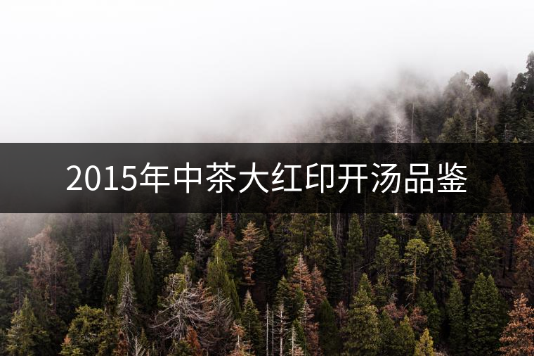 2015年中茶大紅印開湯品鑒 2015年中茶大紅印開湯品鑒