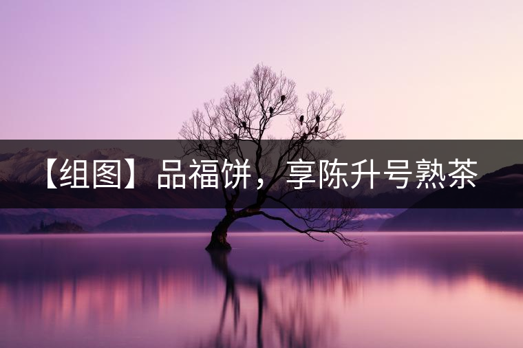 【組圖】品福餅，享陳升號熟茶滋味