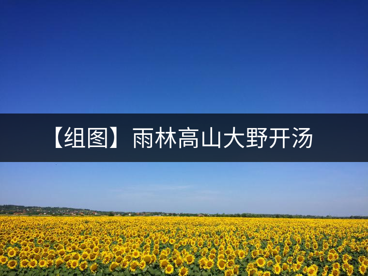 【組圖】雨林高山大野開湯 【組圖】雨林高山大野開湯