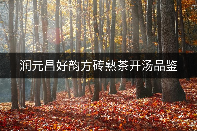 潤(rùn)元昌好韻方磚熟茶開(kāi)湯品鑒 潤(rùn)元昌好韻方磚熟茶開(kāi)湯品鑒