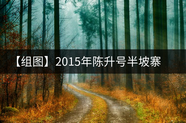 【組圖】2015年陳升號半坡寨普洱茶開湯 【組圖】2015年陳升號半坡寨普洱茶開湯