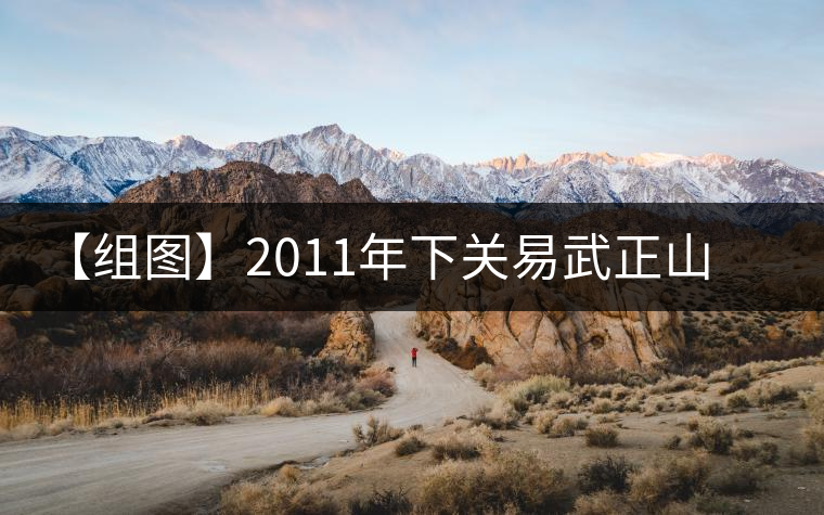 【組圖】2011年下關(guān)易武正山老樹沱茶開湯