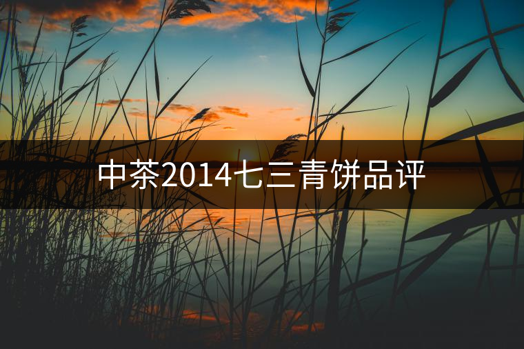 中茶2014七三青餅品評(píng)