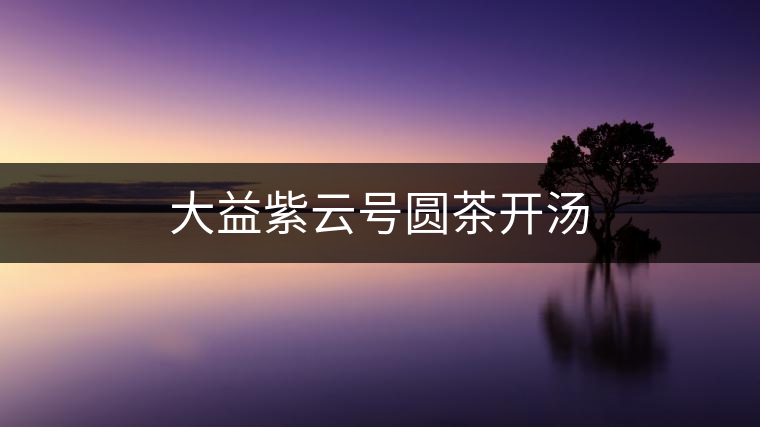 大益紫云號(hào)圓茶開(kāi)湯