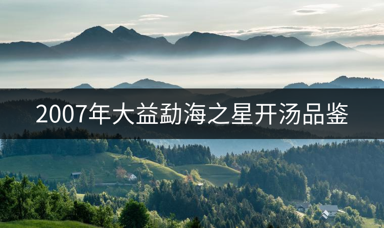 2007年大益勐海之星開湯品鑒 2007年大益勐海之星開湯品鑒