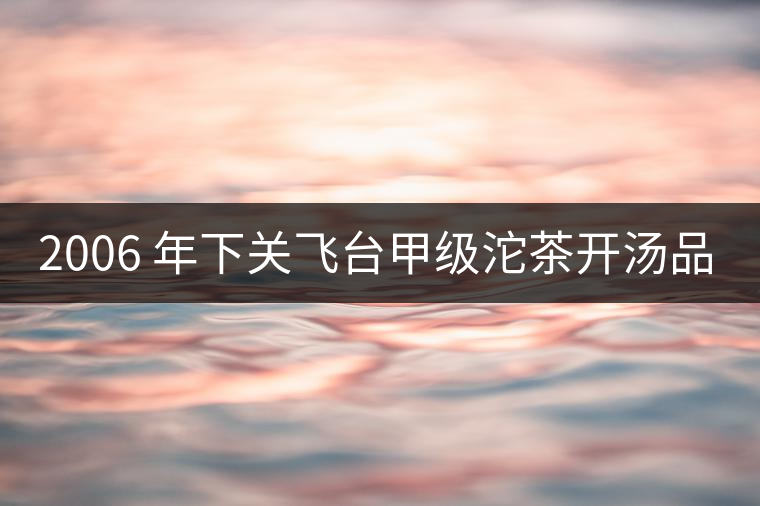 2006 年下關飛臺甲級沱茶開湯品鑒 2006 年下關飛臺甲級沱茶開湯品鑒