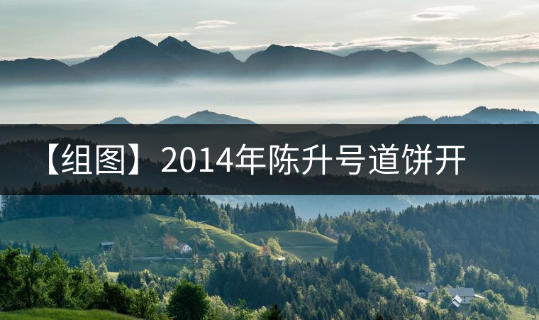 【組圖】2014年陳升號(hào)道餅開湯 【組圖】2014年陳升號(hào)道餅開湯