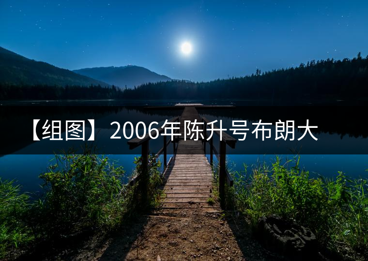 【組圖】2006年陳升號(hào)布朗大樹(shù)開(kāi)湯 【組圖】2006年陳升號(hào)布朗大樹(shù)開(kāi)湯