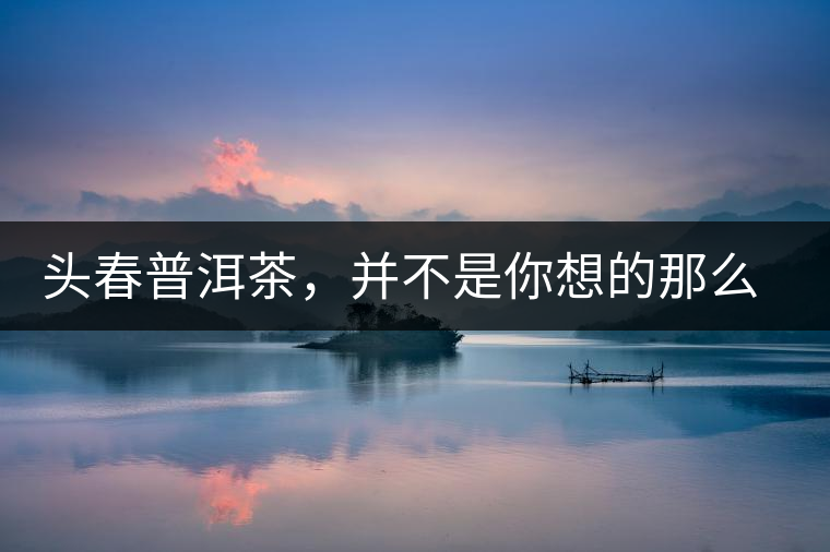 頭春普洱茶，并不是你想的那么好