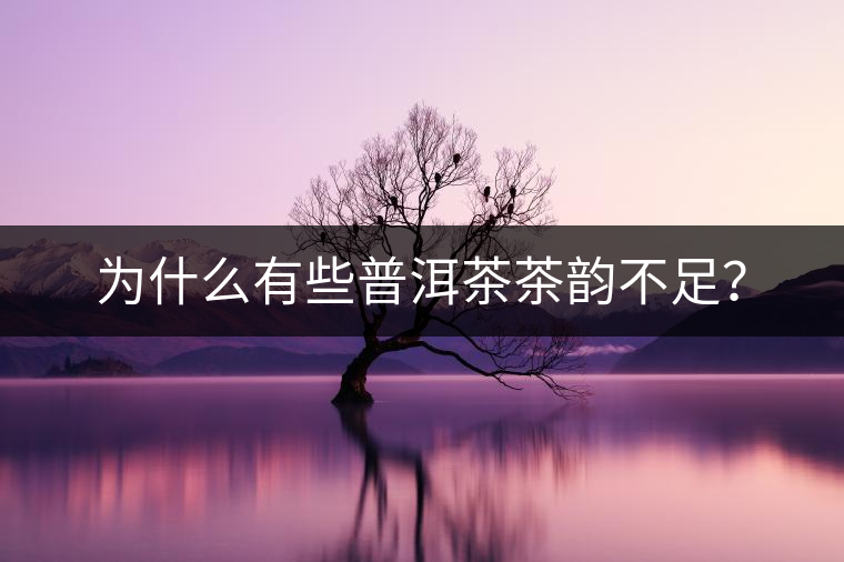 為什么有些普洱茶茶韻不足？