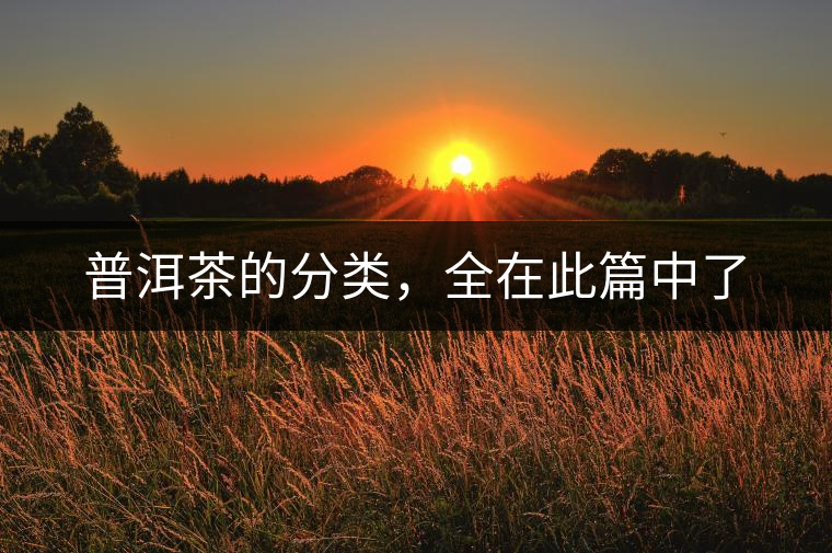 普洱茶的分類，全在此篇中了