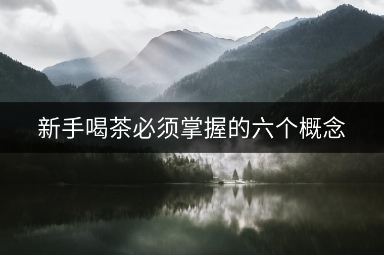 新手喝茶必須掌握的六個概念