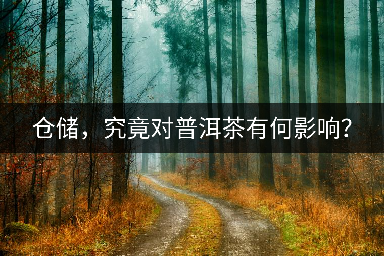 倉儲，究竟對普洱茶有何影響？