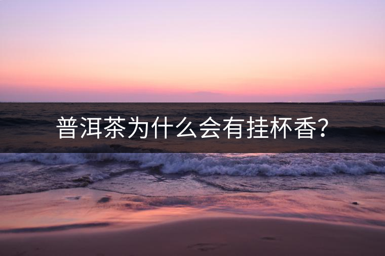 普洱茶為什么會(huì)有掛杯香？