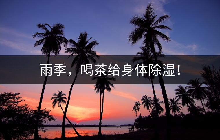 雨季，喝茶給身體除濕！