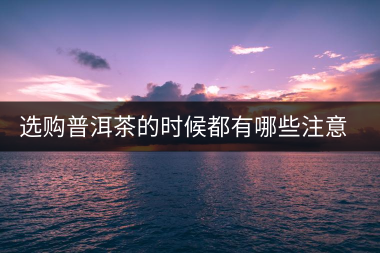 選購普洱茶的時候都有哪些注意事項？