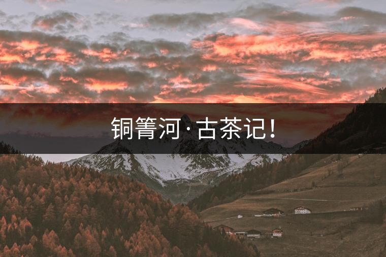 銅箐河·古茶記！