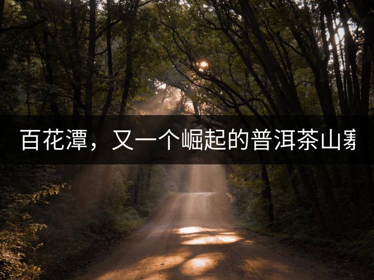 百花潭，又一個(gè)崛起的普洱茶山寨！