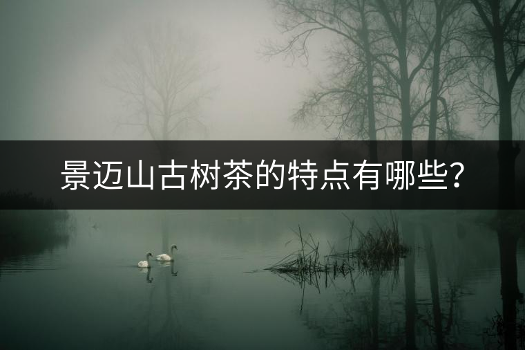 景邁山古樹茶的特點有哪些？