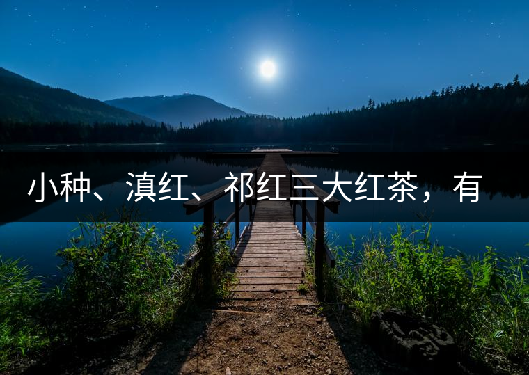 小種、滇紅、祁紅三大紅茶，有何區(qū)別