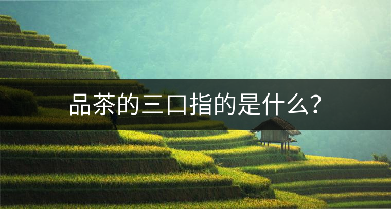 品茶的三口指的是什么？