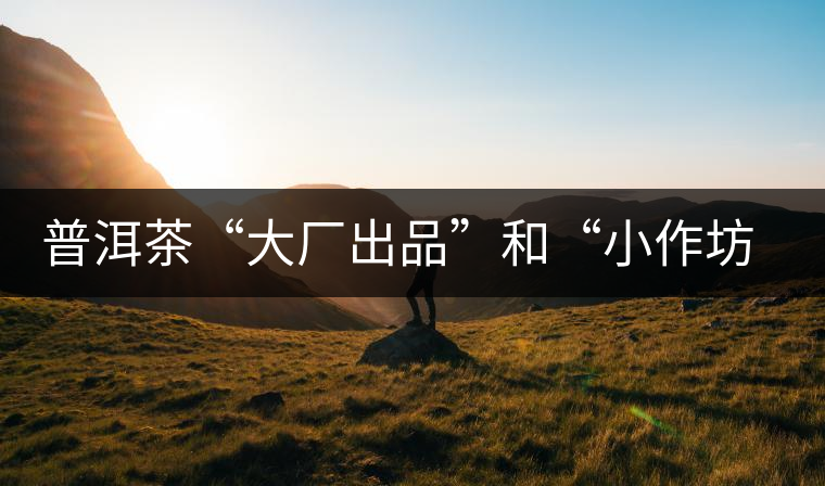 普洱茶“大廠出品”和“小作坊”，哪一個(gè)更值得購買？