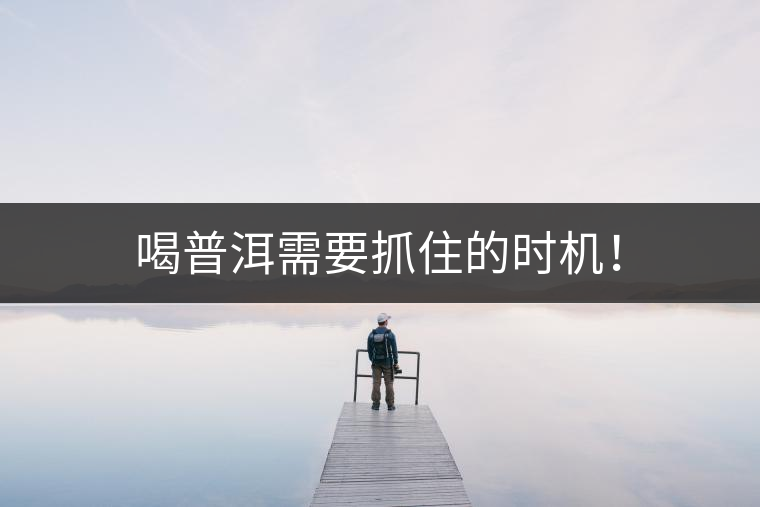 喝普洱需要抓住的時機！