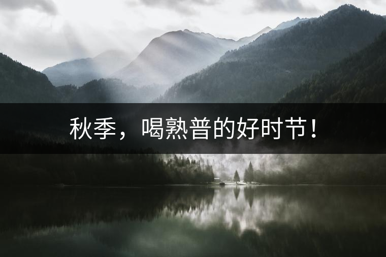 秋季，喝熟普的好時節(jié)！