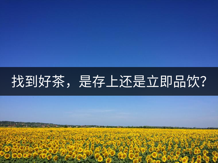 找到好茶，是存上還是立即品飲？