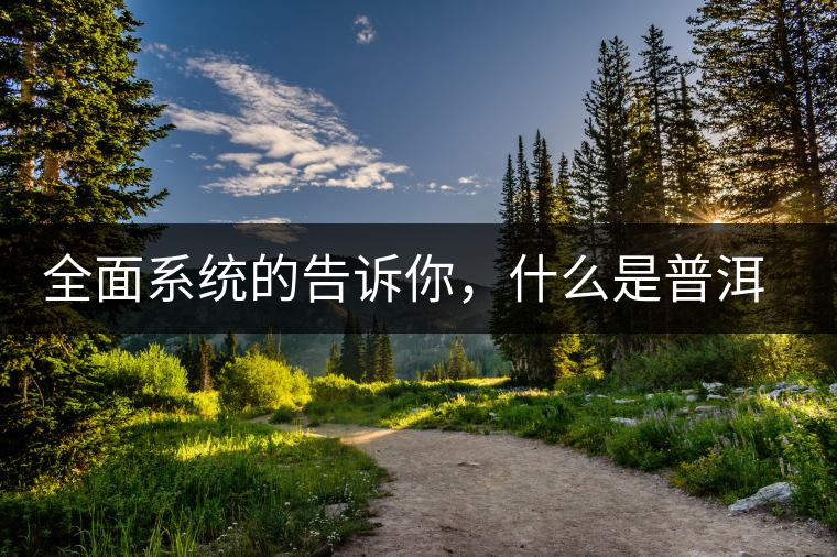 全面系統(tǒng)的告訴你,什么是普洱茶 全面系統(tǒng)的告訴你,什么是普洱茶