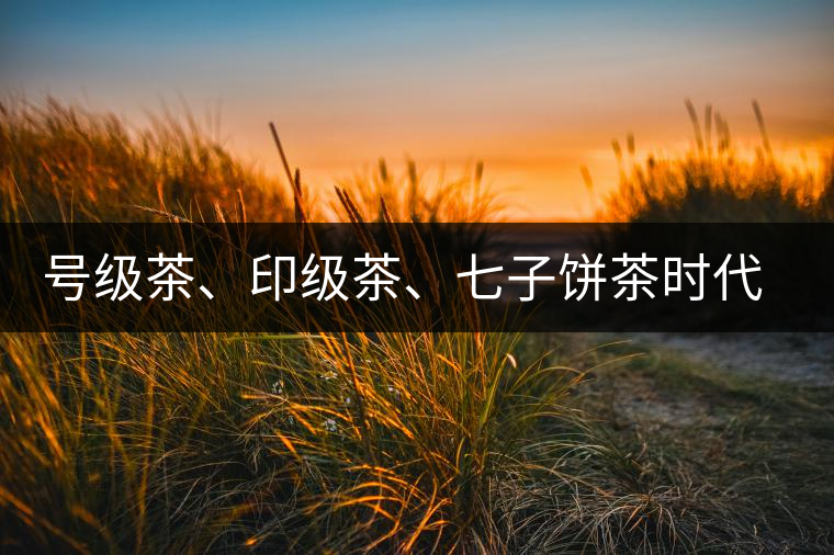 號級茶、印級茶、七子餅茶時代是怎么劃分的？