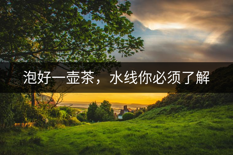 泡好一壺茶，水線你必須了解