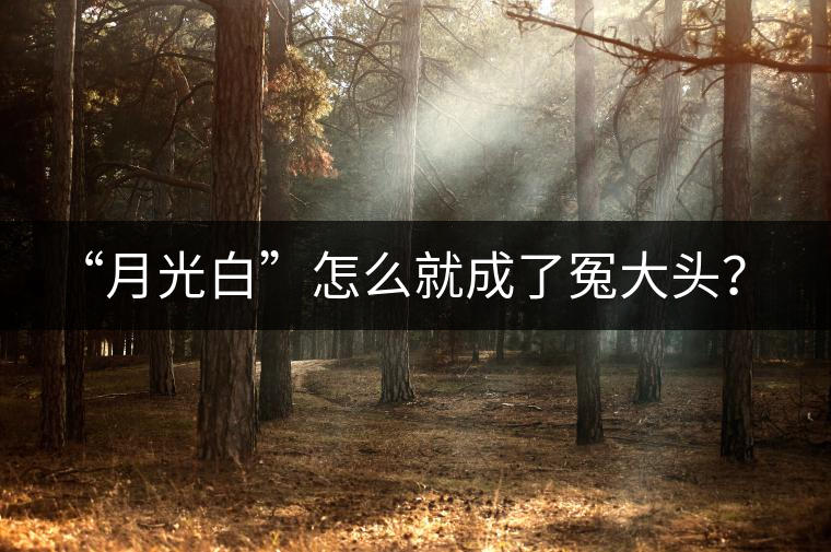 “月光白”怎么就成了冤大頭？