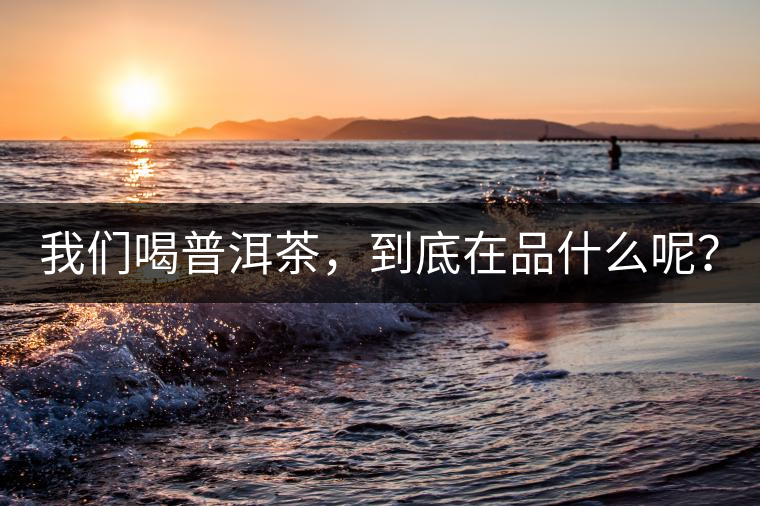 我們喝普洱茶，到底在品什么呢？