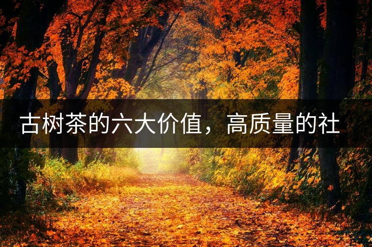 古樹茶的六大價值，高質(zhì)量的社交都離不開古樹茶