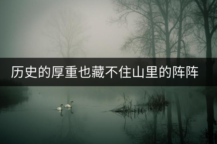 歷史的厚重也藏不住山里的陣陣茶香——攸樂(lè)古樹普洱