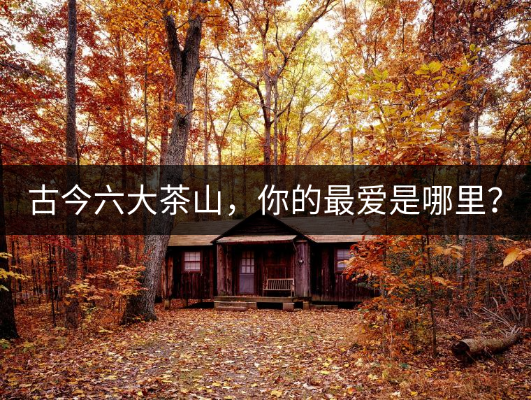 古今六大茶山，你的最愛是哪里？