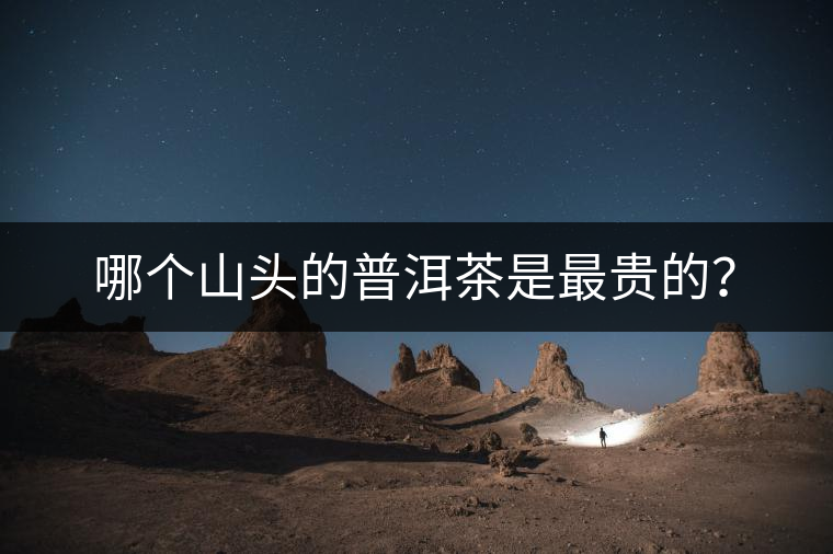 哪個山頭的普洱茶是最貴的？