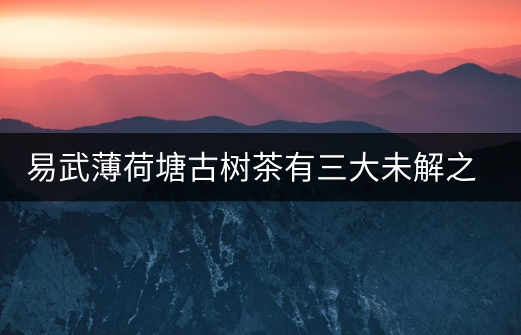 易武薄荷塘古樹(shù)茶有三大未解之謎 易武薄荷塘古樹(shù)茶有三大未解之謎