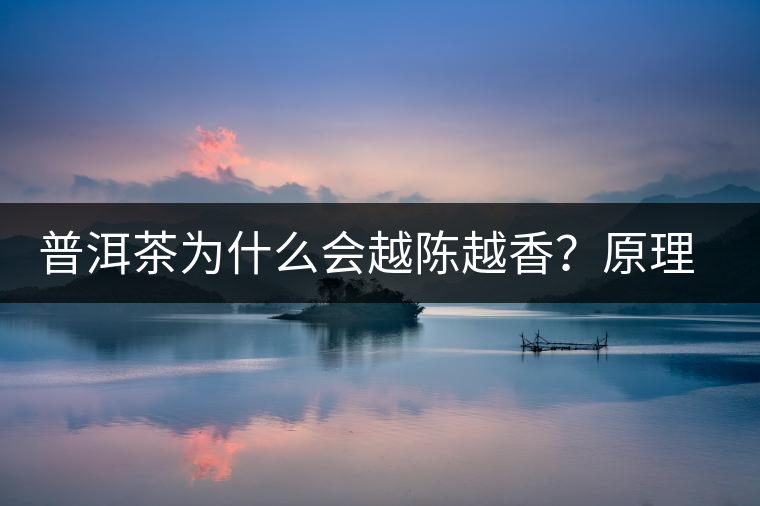 普洱茶為什么會越陳越香？原理是什么？