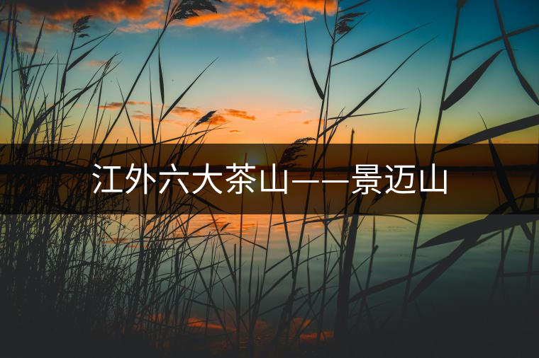 江外六大茶山——景邁山 江外六大茶山——景邁山