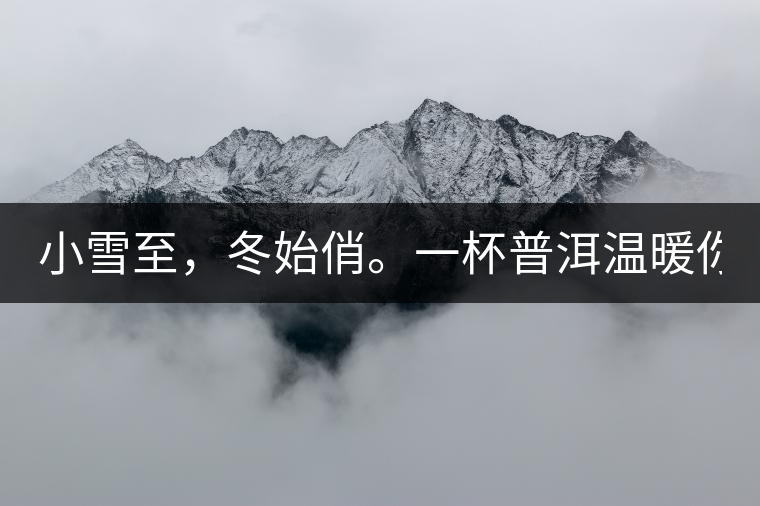 小雪至，冬始俏。一杯普洱溫暖你的冬天！