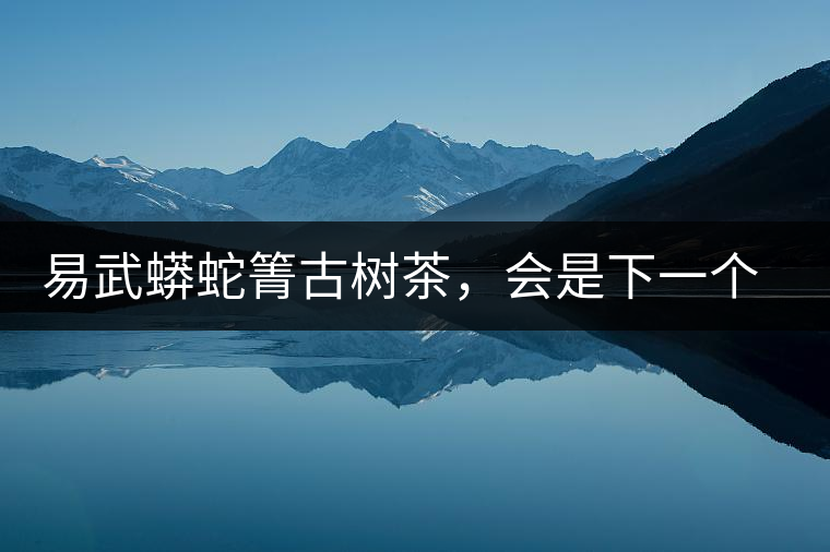 易武蟒蛇箐古樹茶，會是下一個銅箐河嗎？