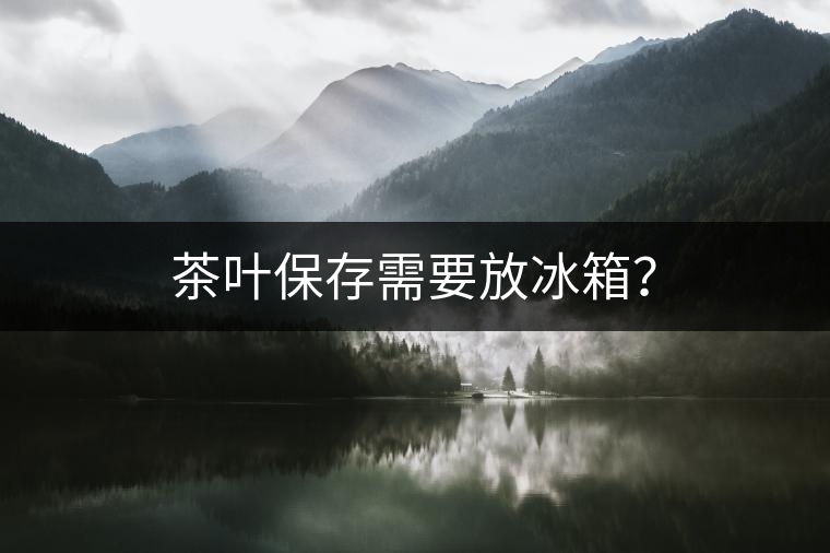 茶葉保存需要放冰箱？