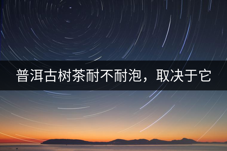 普洱古樹茶耐不耐泡，取決于它