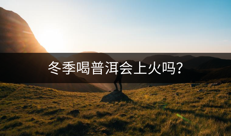 冬季喝普洱會上火嗎？