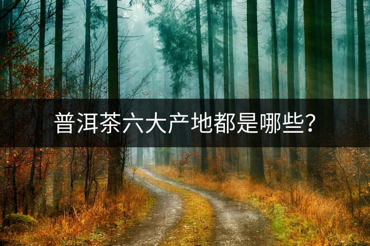 普洱茶六大產(chǎn)地都是哪些？
